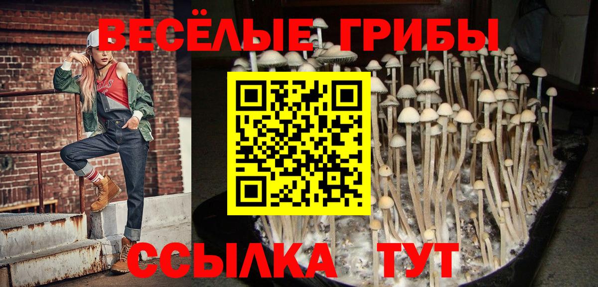 Учалы  Псилоцибиновые грибы Cubensis  Вход с VPN 